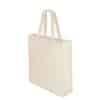 BOLSA NON WOVEN LAMINADO MATE "FERN" - Imagen 3