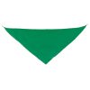 PAÑOLETA TRIANGULAR "FERMÍN" - Imagen 11
