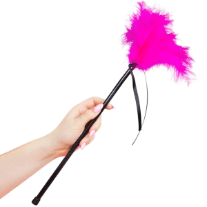 SECRETPLAY - PLUMERO PLUMAS ROSA 40 CM